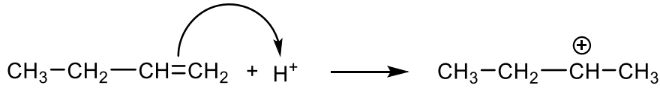 H+-Addition an 1-Buten (CH3–CH2–CH=CH2) bildet ein sekundäres Carbokation